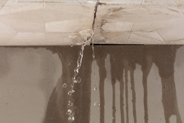 Professional Water Damage Inspection technician working in Emerson, IA
